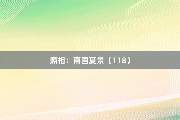 照相：南国夏景（118）